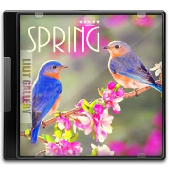 برترین موزیک‌های بی‌کلام بهار Spring