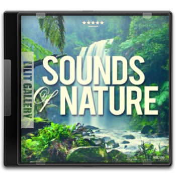 برترین موزیک‌های بی‌کلام صداهای طبیعی Sounds Nature