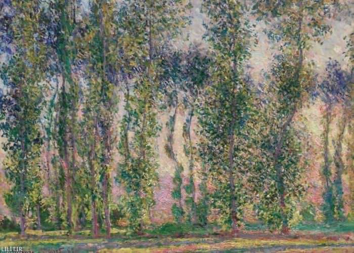 تابلو نقاشی شاخه‌های صنوبر در ژیورنی فرانسه