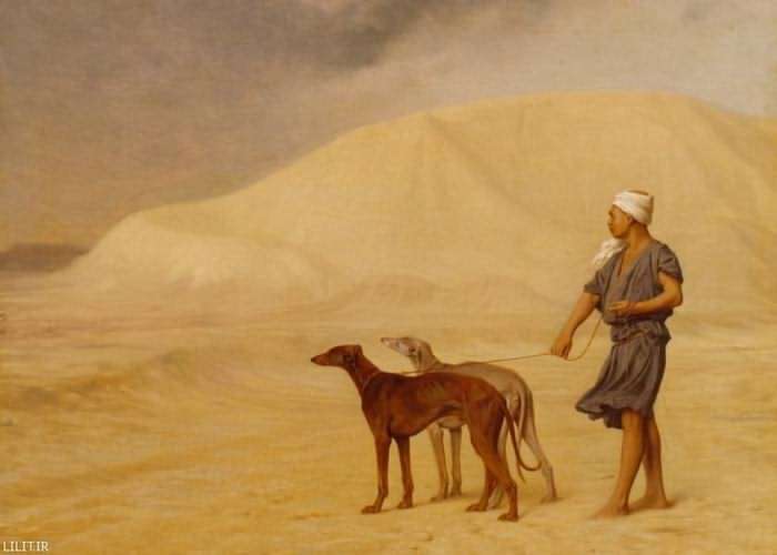 تابلو نقاشی مرد عرب و سگ‌های تازی در کویر