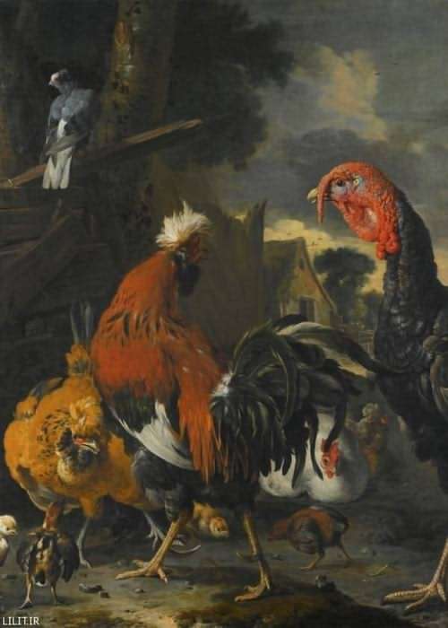 تابلو نقاشی بوقلمون و مرغ و خروس و جوجه ها