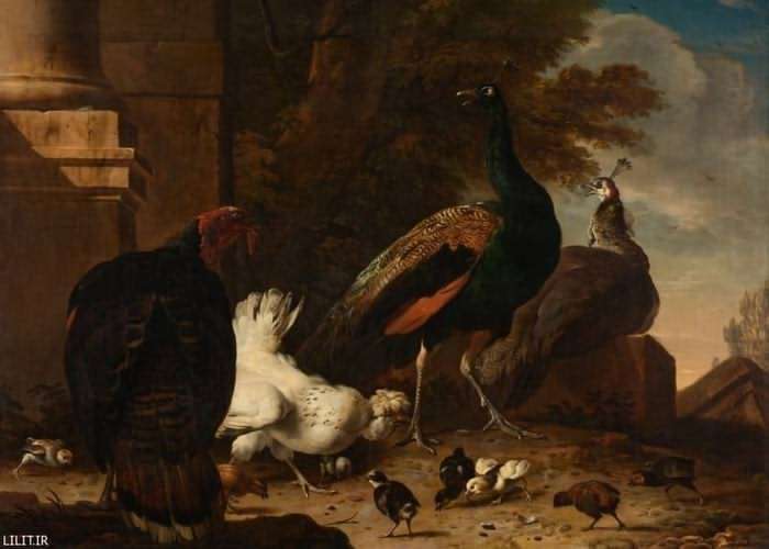 تابلو نقاشی مرغ و جوجه‌ها درکنار طاووس و بوقلمون