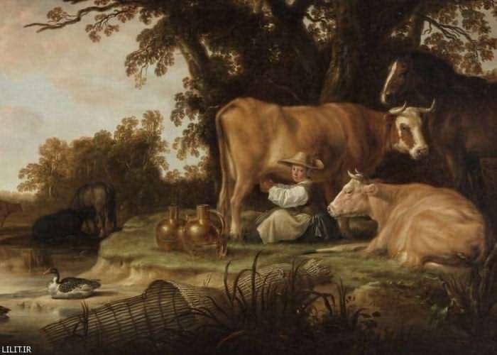 تابلو نقاشی دامدار درحال دوشیدن شیر گاوها