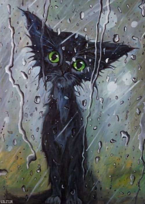 تابلو نقاشی بچه گربه بی خانمان