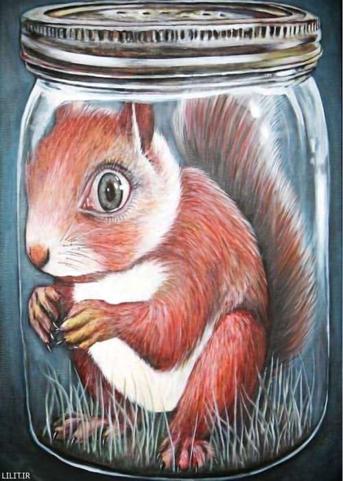 تابلو نقاشی سنجاب در محفظه نگهداری