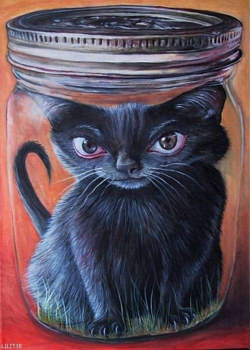 تابلو نقاشی گربه در محفظه نگهداری