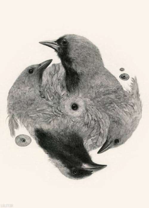تابلو طراحی اسپینر پرندگان