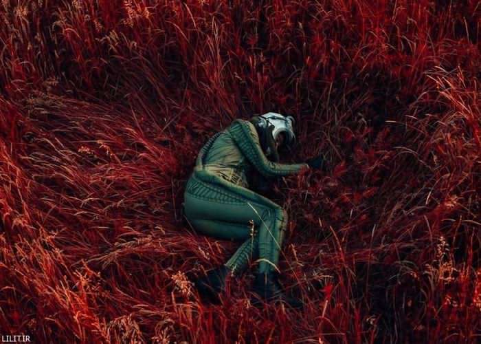 تابلو عکس بیگانه‌ای خوابیده در انبوه گیاهان سیاره ناشناخته