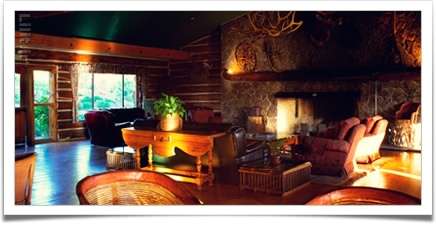 اتاق‌نشیمن چوبی با شومینه سنگی به سبک کلبه‌های جنگلی