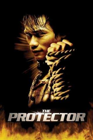 نگهبان / The Protector