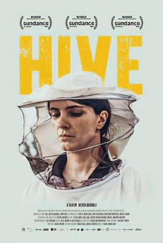 کندو / Hive