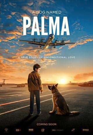 پالما / Palma