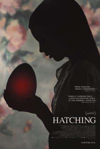 جوجه کشی / Hatching