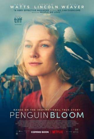 پنگون بلوم / Penguin Bloom