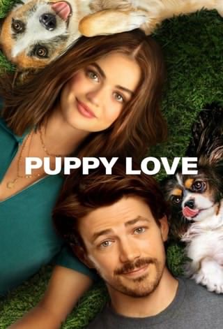 عشق توله سگ / Puppy Love