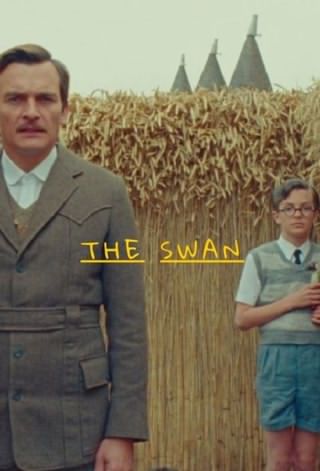 قو / The Swan