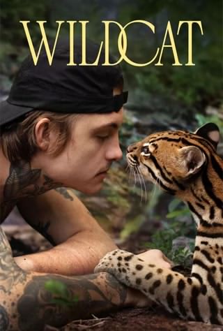گربه وحشی / Wildcat