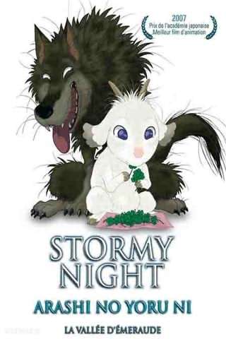 شب طوفانی / Stormy Night