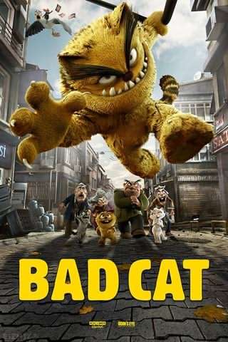 گربه بد / Bad Cat