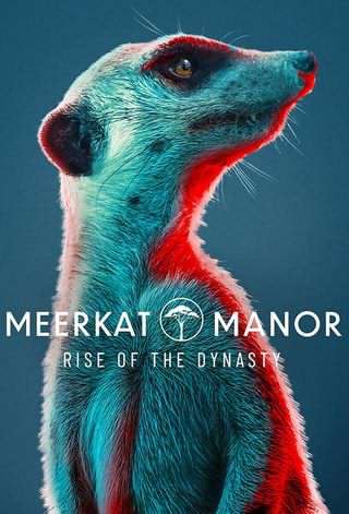 قلمرو میرکات ها: آغاز سلسله / Meerkat Manor: Rise of the Dynasty