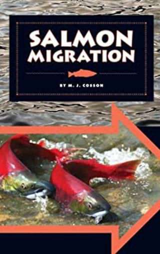 مهاجرت ماهی قزل آلا / Salmon migration