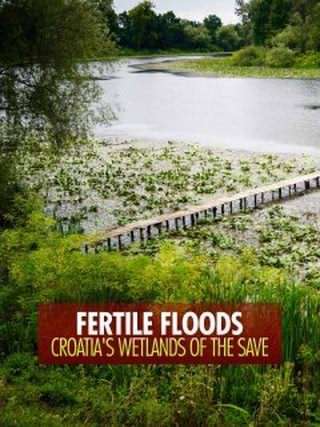سیلاب‌ های پر برکت: تالاب‌ های کرواسی / Fertile Floods, Croatia’s Wetlands of the Save