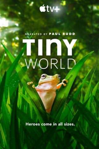 دنیای کوچک / Tiny world