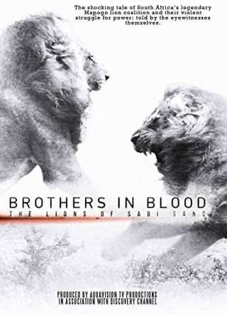 برادران تنی: شیرهای سابی سند / Brothers in Blood, The Lions of Sabi Sand