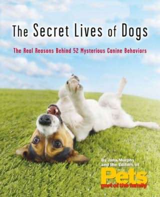 خلوت سگ ها / Dogs, Their Secret Lives