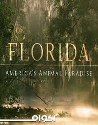 فلوریدا: بهشت حیوانات آمریکا / Florida: American Animal Paradise