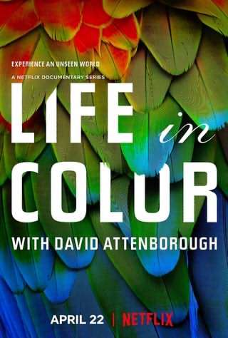 حیات رنگی / Life in Color