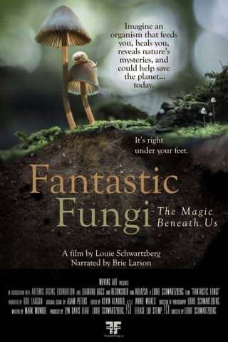 قارچ فوق العاده / Fantastic Fungi