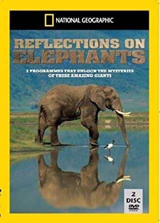 بازتاب فیل ها / Reflections On Elephants