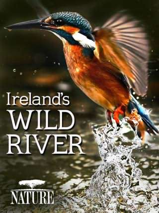 رودخانه وحشی ایرلند / Irelands Wild River