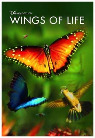 بال های زندگی / Wings of Life