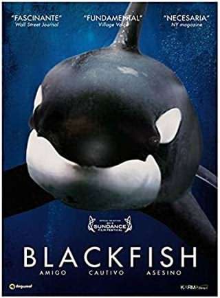 ماهی سیاه / Blackfish