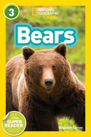 خرس ها / Bears