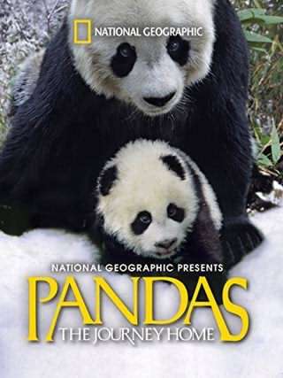 پاندا: بازگشت به خانه / Pandas, The Journey Home