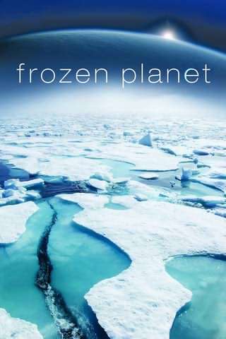 سیاره یخ زده / Frozen Planet