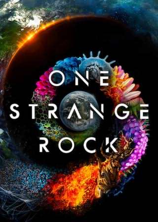 یک سنگ عجیب / A strange Rock