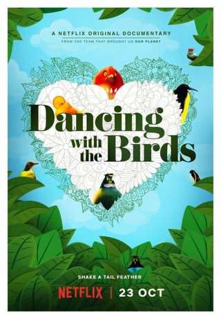 رقص با پرندگان / Dancing with birds