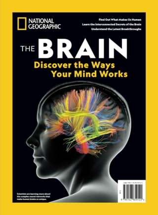 مغز / The brain