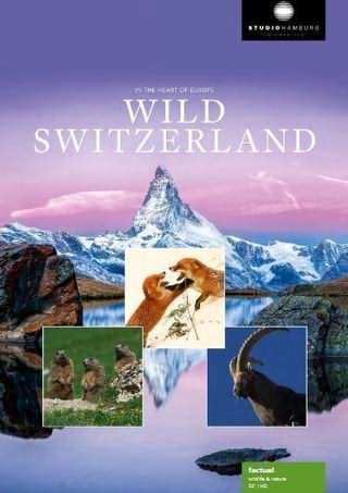 حیات وحش سویس / Wild Switzerland