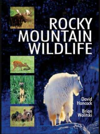 حیات وحش کوه های راکی / Rocky Mountain Wildlife