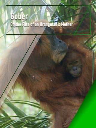 سرنوشت یک اورانگوتان / The fate of an orangutan