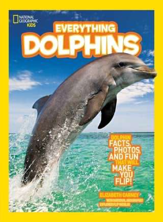 اسرار زندگی دلفین ها / The life of dolphins