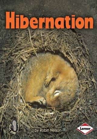 خواب زمستانی / Hibernation