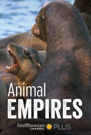 امپراتوری حیوانات / Animal Empire