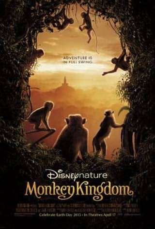پادشاهی میمون ها / Kingdom of Monkeys