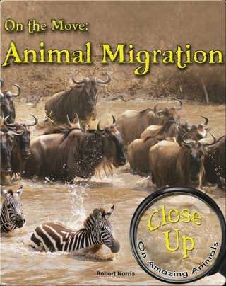 مهاجرت حیوانات / Animal migration